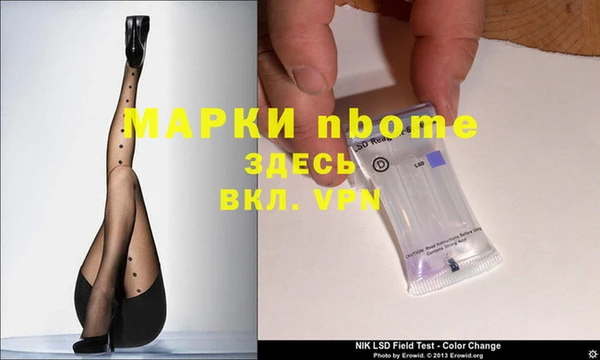 стаф Алзамай