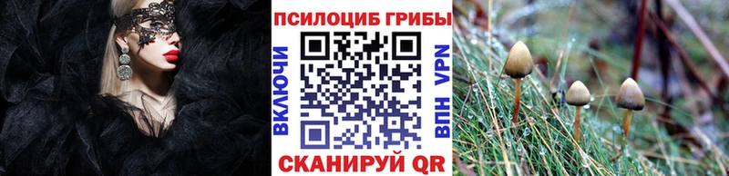 гидра маркетплейс  Елизаветинская  Галлюциногенные грибы мицелий  где можно купить  